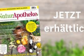 Ausgabe 3 2019