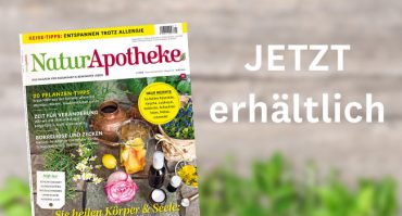 Ausgabe 3 2019