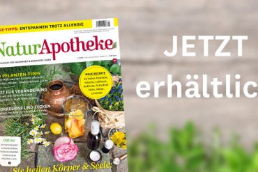 Ausgabe 3 2019