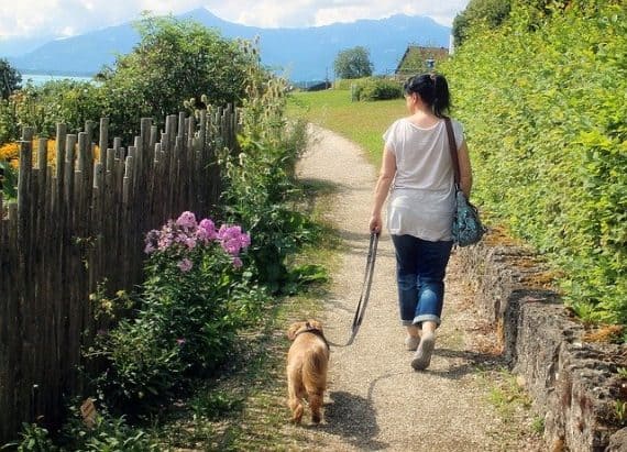 Gesundes Spazieren gehen