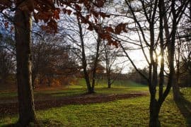 Ein Spaziergang im Herbstlicht tut uns gut