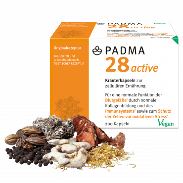 Padma 28 active