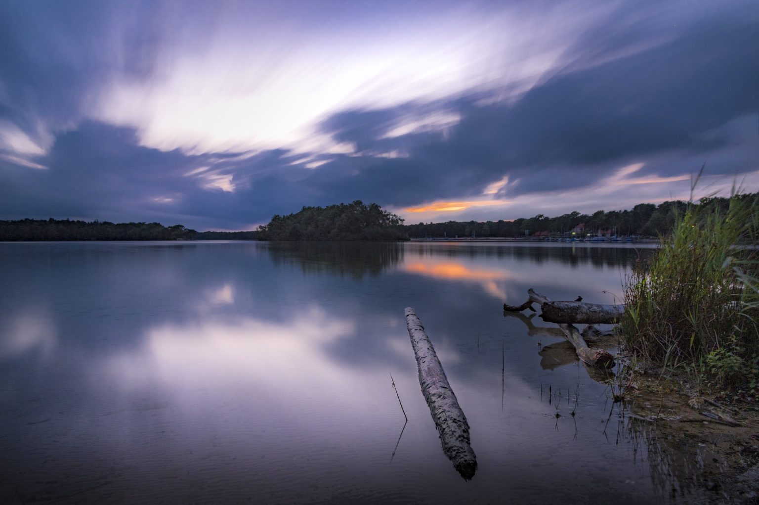 Blaues Wunder die Schlehe Naturapotheke