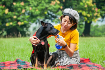 Naturheilkunde für Hund und Katze