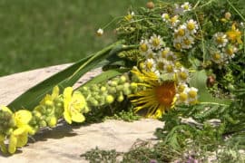 Ein wunderbarer Kräuterbuschen aus dem ORF-Fernsehgarten