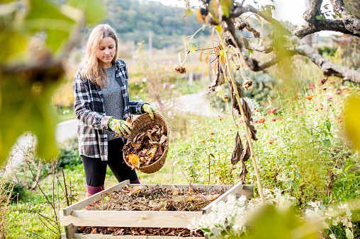 Herbstzeit im Garten heißt ernten und aufräumen