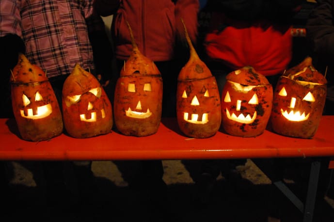 Rüben geistern an Halloween