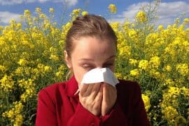 Ayurveda kann bei Allergien helfen