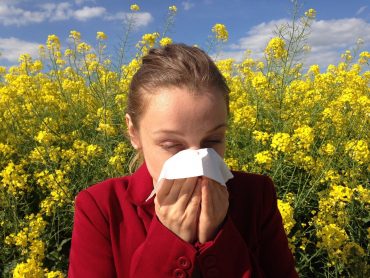 Ayurveda kann bei Allergien helfen