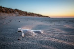 Plogging am Strand