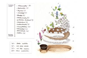 Eine Kräuterspirale für Schmetterlinge