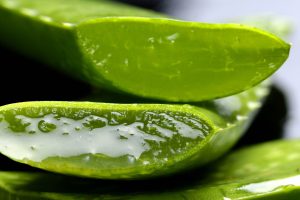 Lindert und kühlt bei Sonnenbrand: Aloe Vera