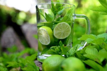 Spritzige Giersch-Limonade selber machen