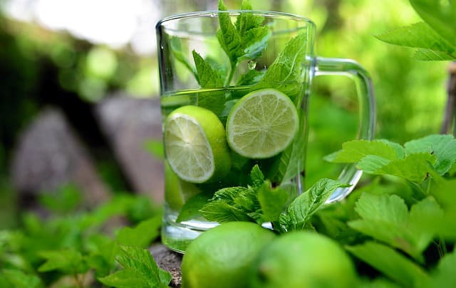 Spritzige Giersch-Limonade selber machen