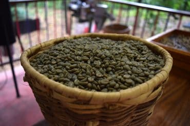 Kaffeekohle aus grünen gerösteten Kaffeebohnen