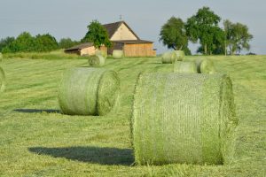 Heuernte in großen Rollen