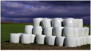 Heuernte zur Silage