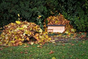 Ein Haus für Freund Igel