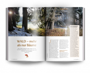 NaturApotheke 1/2023 - der Wald