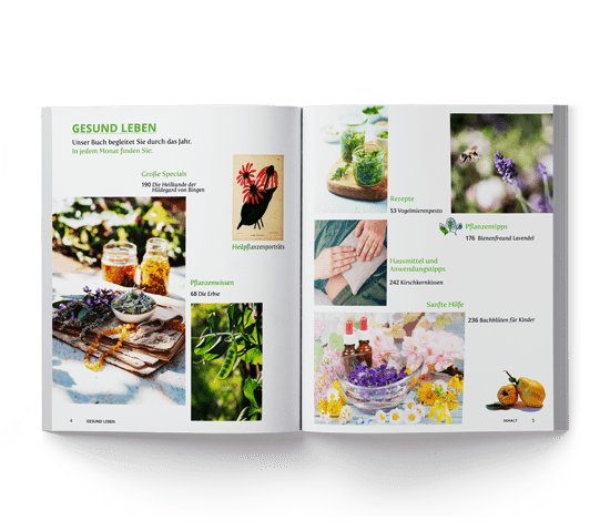 NaturApotheke - Gesund mit der Kraft der Natur