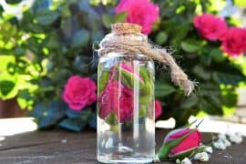 Serum mit Hyaluron und Rose