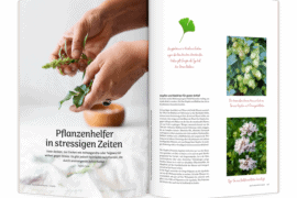 10 Wege aus dem Stress