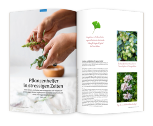 10 Wege aus dem Stress