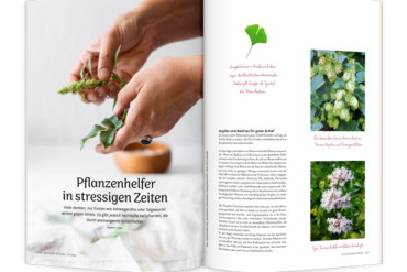 10 Wege aus dem Stress