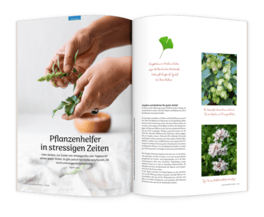 10 Wege aus dem Stress