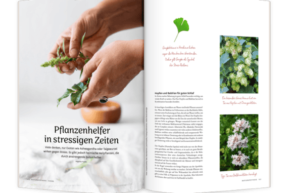 10 Wege aus dem Stress